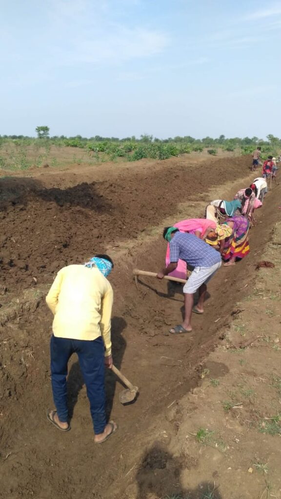 मनरेगा में दो लाख से भी ज्यादा मजदूरों को मिल रहा काम,सर्वाधिक रोजगार सृजन वाला जिला बना बिलासपुर